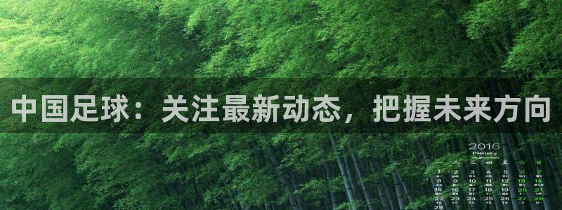 中国足球：关注最新动态，把握未来方向