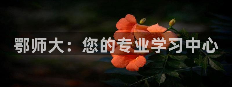 鄂师大：您的专业学习中心