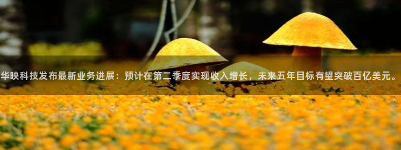 华映科技发布最新业务进展：预计在第二季度实现收入增长，未来五年目标有望突破百亿美元。