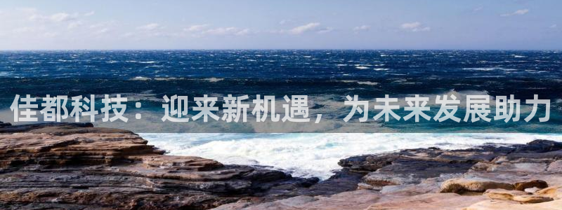 佳都科技：迎来新机遇，为未来发展助力