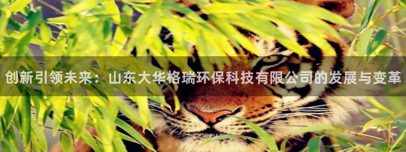 创新引领未来：山东大华格瑞环保科技有限公司的发展与变革