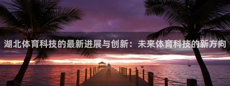 湖北体育科技的最新进展与创新：未来体育科技的新方向