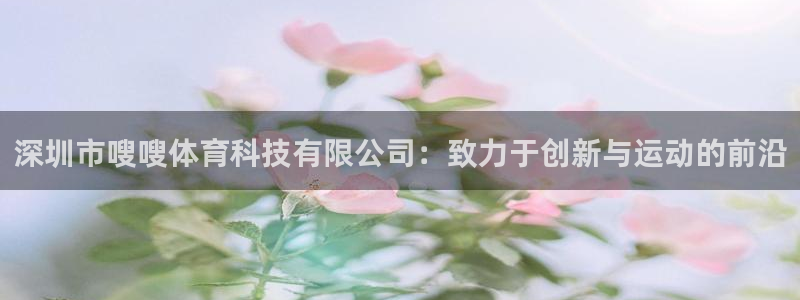 深圳市嗖嗖体育科技有限公司：致力于创新与运动的前沿
