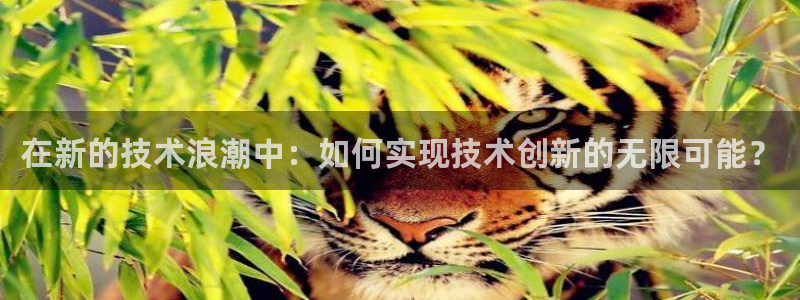 在新的技术浪潮中：如何实现技术创新的无限可能？